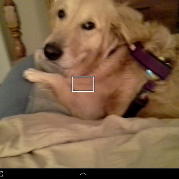 luvmybuddy57